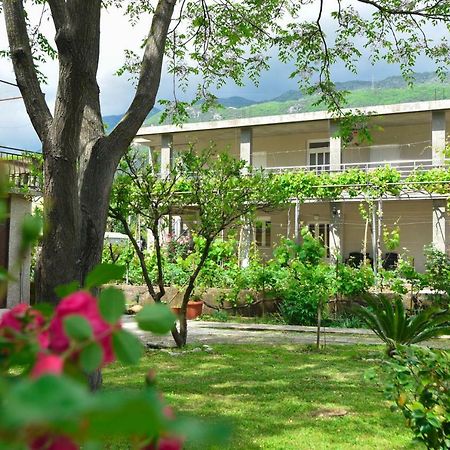Apartmani Mihovic - Jaz Budva Kültér fotó